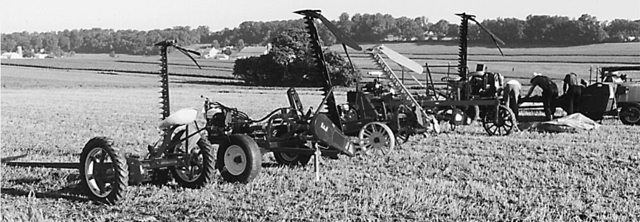 Prosperity On The Farm