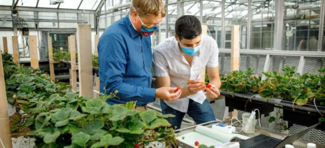 A Free Market to Fight The Surplus