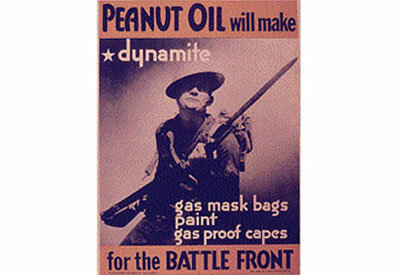 Growing peanuts for the war effort