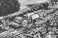 Agriculture in Virginia