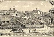 Agriculture Revolution