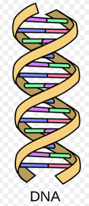 Science and Technology Great Expansion