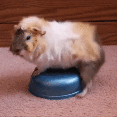 Timeline: the important things in my life