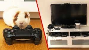 when one of my favorite things came out