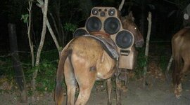 Timeline: Evolución equipos de sonido