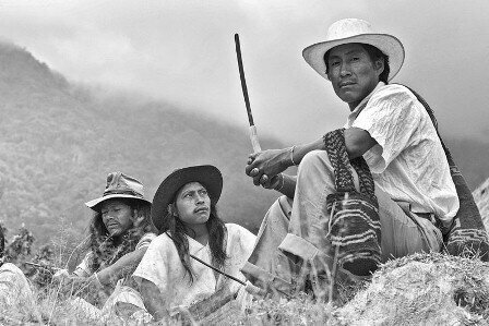 Estudios Antropológicos