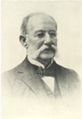 Transmisor de la fiebre amarilla