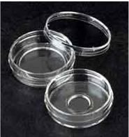 Comienzan a usarse las cajas Petri