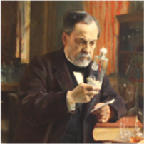 Vacuna contra la rabia