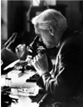 Descubrimiento de la penicilina