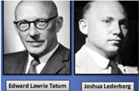 Existencia en conjugación de E. coli