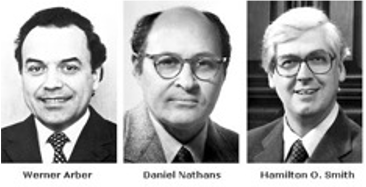 Enzimas de restricción