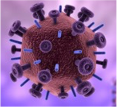 Identificación del virus del SIDA