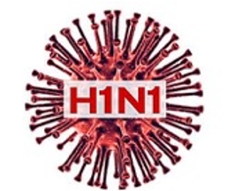 Brote de gripe A H1N1