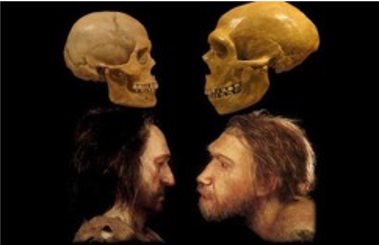 Genoma casi completo de un Homo sapiens