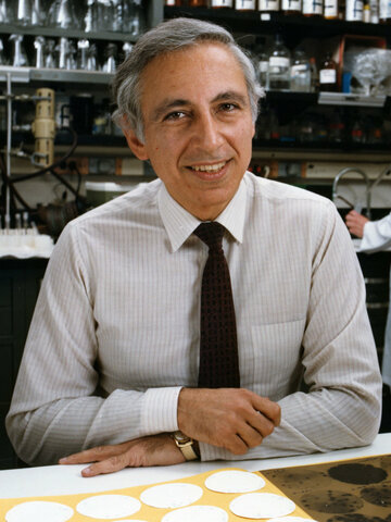 Robert Gallo identified the virus causing AIDS