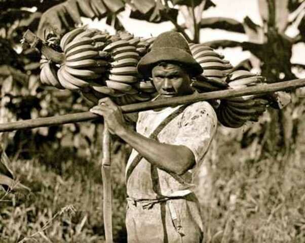 Masacre de las bananeras