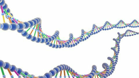 Descubrimiento del la estructura del ADN