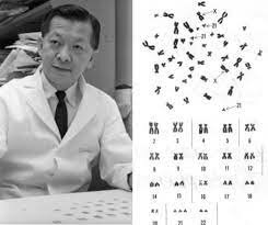 Joe Hin Tjio  (02/11/1919-27/11/2001)