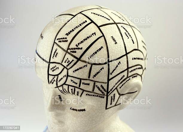 Movimiento Frenológico