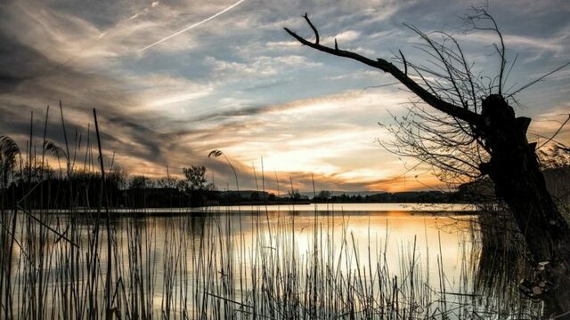 problematicas sociales (4.0)