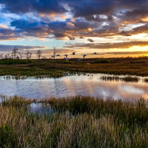 Everglades National Park was established