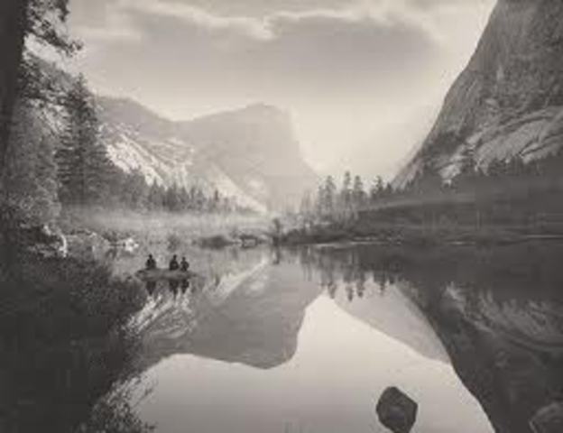 Enviromental Progressive Movement