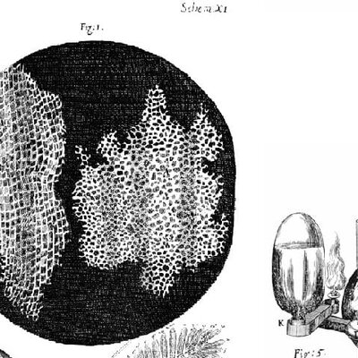 Timeline: El descobriment de la cèl·lula