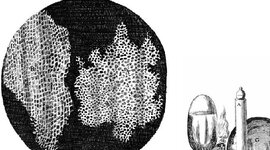 Timeline: El descobriment de la cèl·lula