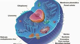 Timeline: Els avanços i coneixements de la cèl·lula