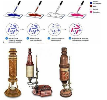 es descobreixen les tècniques de tinció