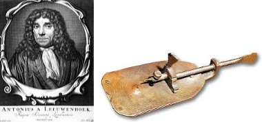 LES CÈL·LULES VIVES PER PRIMERA VEGADA