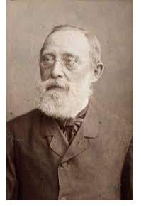 Origen de les cèl·lules