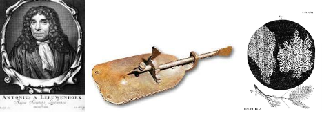 S’aconsegueix construir un microscopi de 200 augments i observar cèl·lules vives