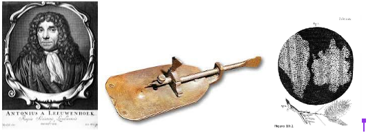 Construcció d'un microscopi de 200 augment i obcervació de cel·lules vives