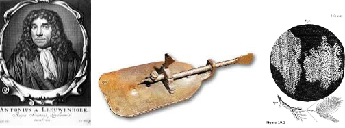 Aconsegueixen construir un microscopi de 200 augments i observar cèl·lules vives