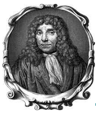 S’observa i es descriu per primera vegada el nucli cel·lular