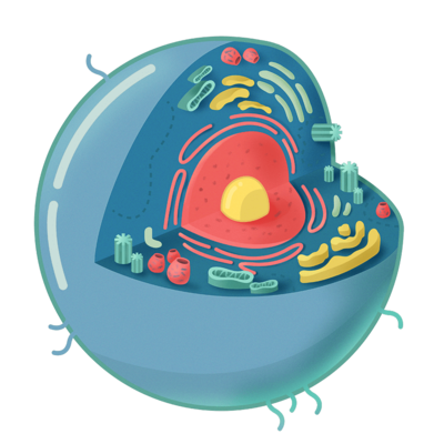 Timeline: Història de la cèl·lula i els seus avanços
