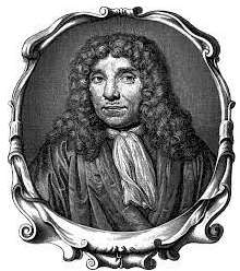 Primera observació dels nucli cel·lular