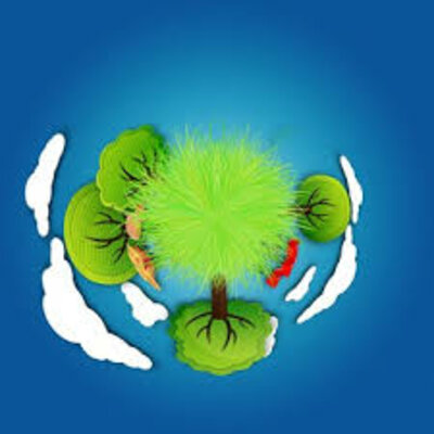 Timeline: Historia de l'educacio