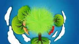 Timeline: Historia de l'educacio