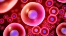 Timeline: 🧫Història de la cèl·lula