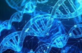 Cèl·lula com a unitat genètica