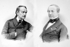 TEORIA CEL·LULAR PLANTEJADA PER PRIMER COP