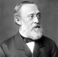 CÈL·LULES A PARTIR DE CÈL·LULES