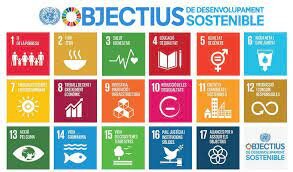 Crida als Estats Membres