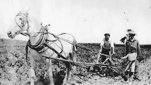 Agricultural Advancements