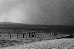 The Dust Bowl