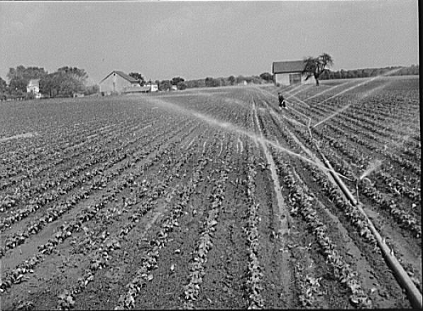 Farming on the home front