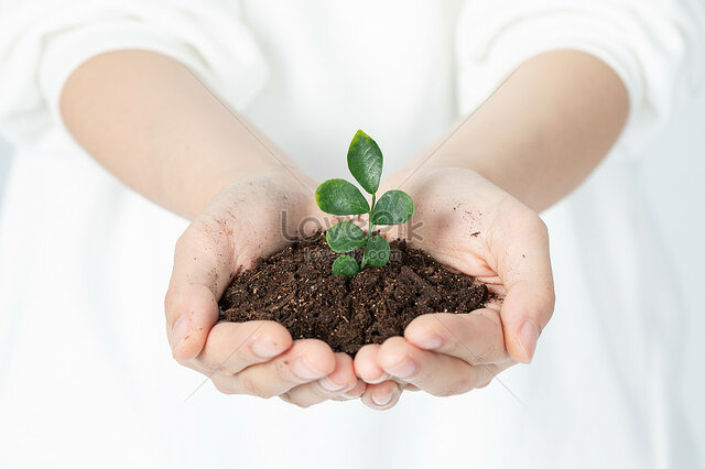 Decreto No. 1449 de 1977